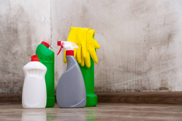 Professional Mold Removal in Villas, NJ